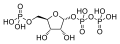 Phosphoribosyl pyrophosphate