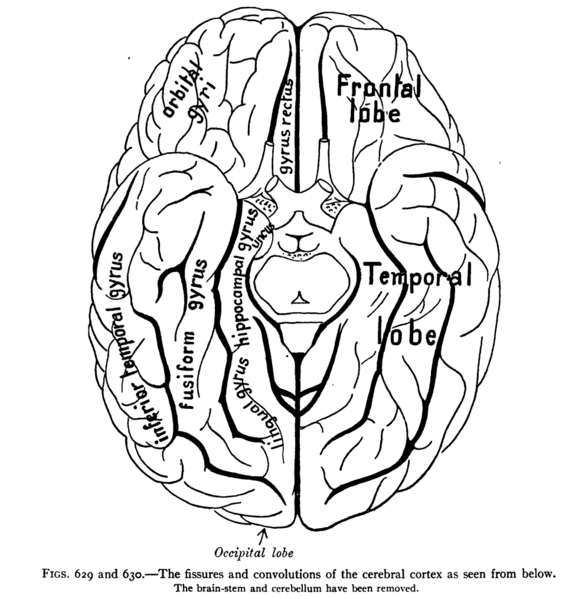 File:Sobo 1909 629.png