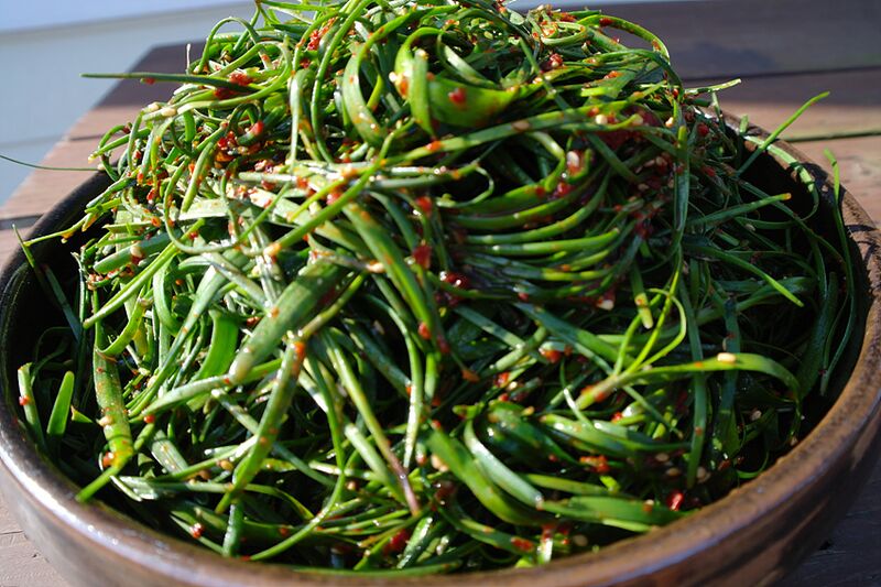 File:Buchu-geotjeori.jpg
