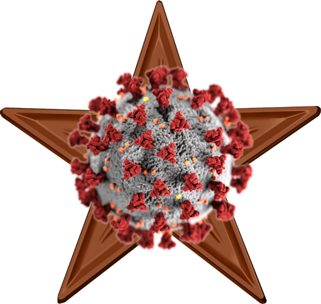File:COVID-19 barnstar.png