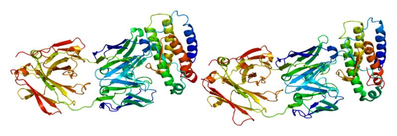 File:Protein THPO PDB 1v7m.png
