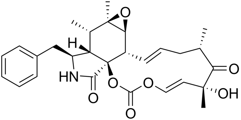 File:Cytochalasin E.png