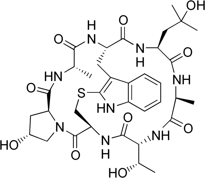File:Phalloin.png