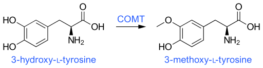 File:COMT activity.svg