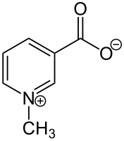 File:Trigonelline Structural Formula V2.svg