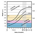 Thumbnail for version as of 03:41, 2 June 2026