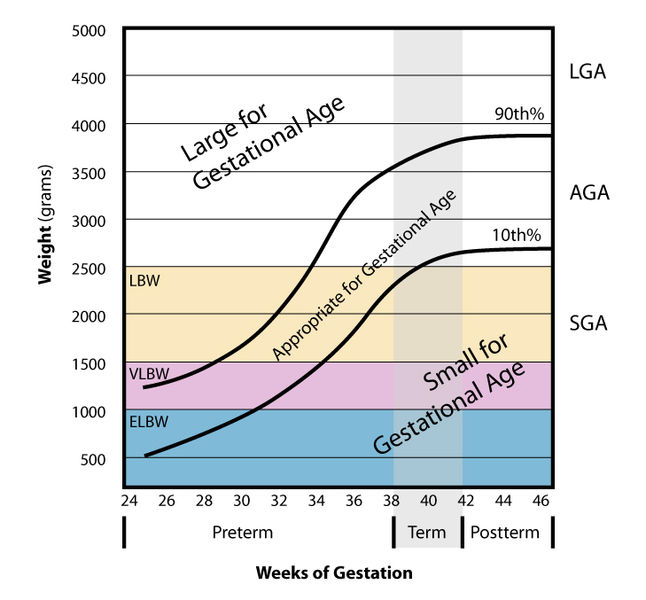 File:Weight vs gestational Age.jpg