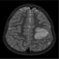 Thumbnail for version as of 02:09, 7 June 2026