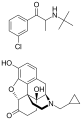 Thumbnail for version as of 02:09, 24 May 2026