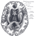Thumbnail for version as of 17:28, 18 May 2026