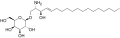 Thumbnail for version as of 01:54, 22 May 2026