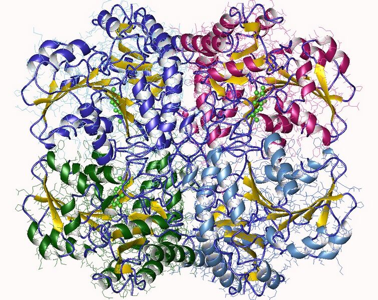 File:2nmp.jpg