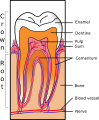 Thumbnail for version as of 12:47, 29 May 2026