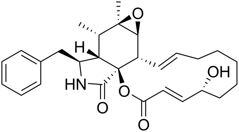 File:Cytochalasin F.png