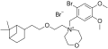 Thumbnail for version as of 17:42, 22 May 2026