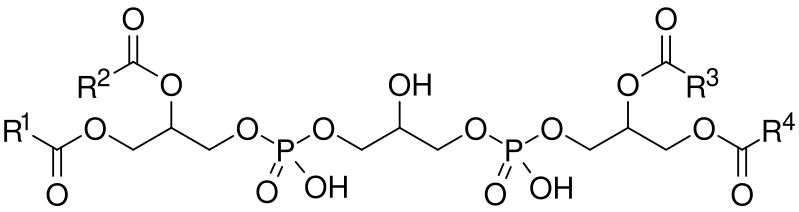 File:Cardiolipin structure.svg