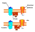 Thumbnail for version as of 02:14, 7 June 2026