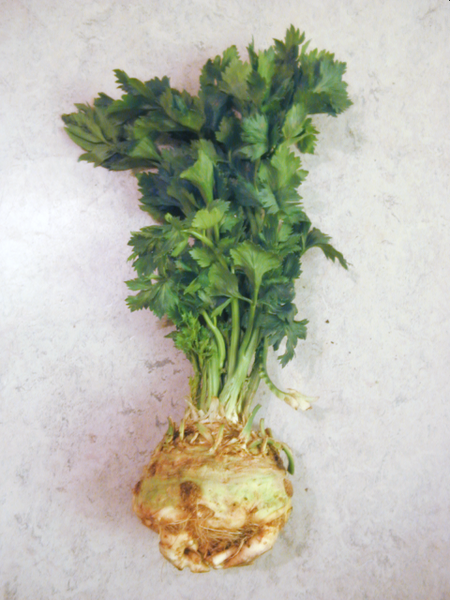File:Tselina.png