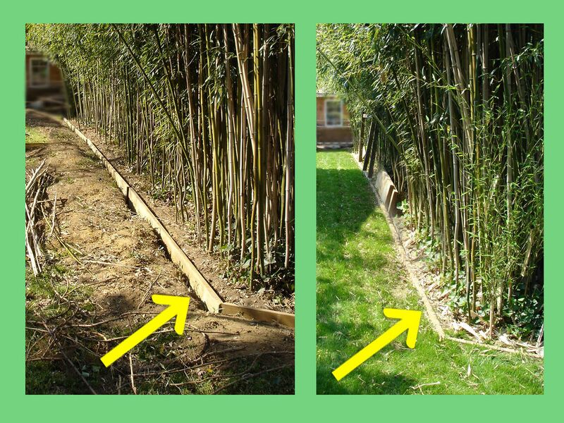File:20200704 Bamboo barrier.jpg