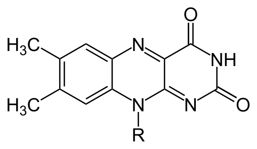 File:Flavin group.svg