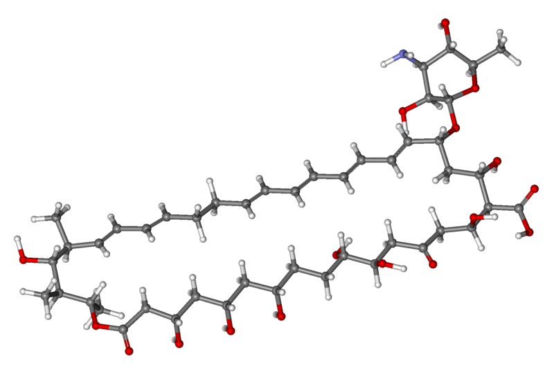 File:Nystatin ball-and-stick.png