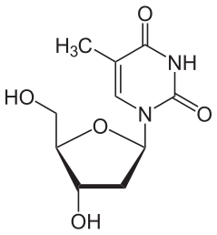 File:Desoxythymidin.svg