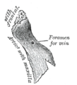 Thumbnail for version as of 17:27, 18 May 2026