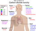 Main symptoms of carbon dioxide toxicity