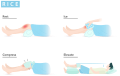 Thumbnail for version as of 22:32, 8 June 2026