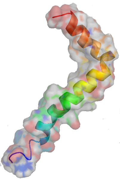 File:Amyloid-beta.png
