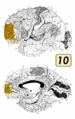 Thumbnail for version as of 19:18, 4 June 2026