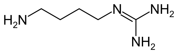 File:Agmatine.svg
