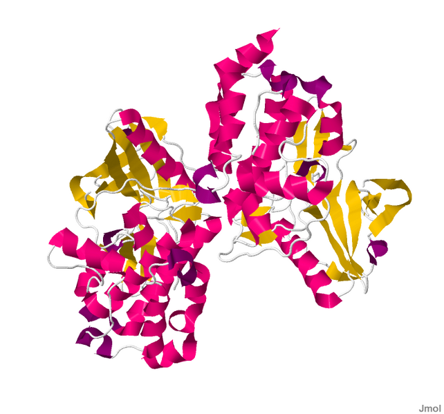 File:2X4F.pdb.png