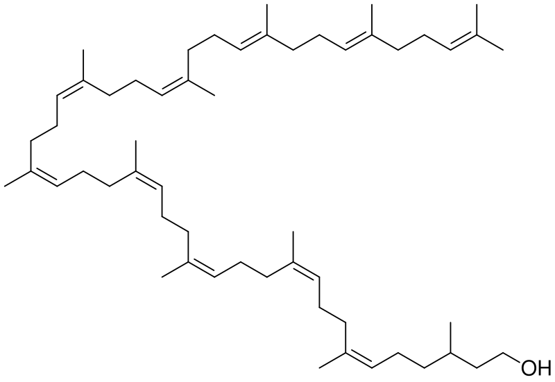 File:Bactoprenol.svg