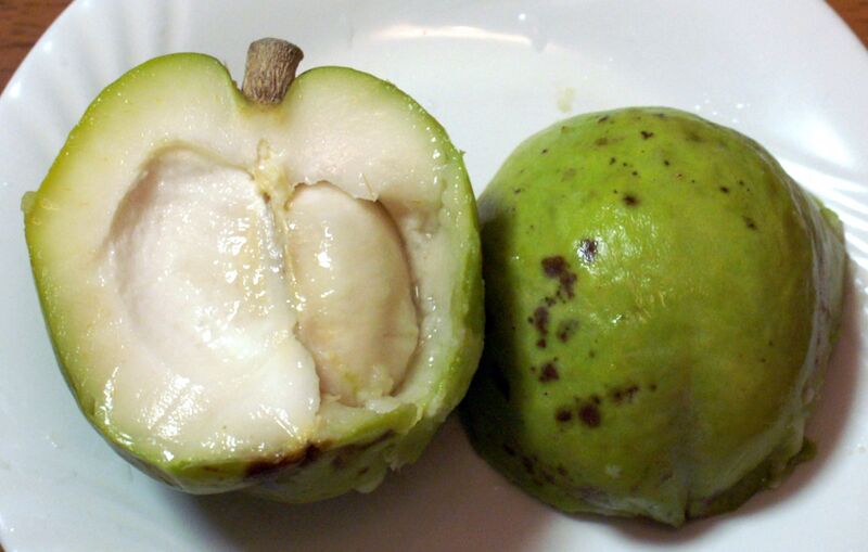 File:White sapote2.jpg