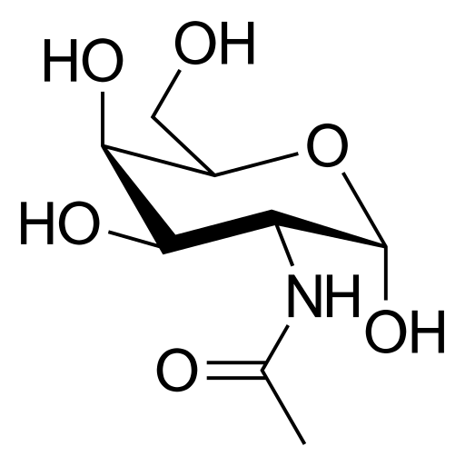 File:Acetylgalactosamine.svg