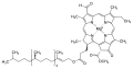 Thumbnail for version as of 14:55, 19 May 2026
