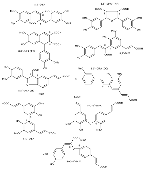 File:DiferulicAcids.svg