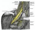 Gray's Anatomy illustration of nerve block