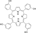 Thumbnail for version as of 19:03, 22 May 2026