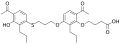 Thumbnail for version as of 01:55, 22 May 2026