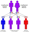 Autorecessive