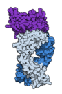 Thumbnail for version as of 22:29, 8 June 2026