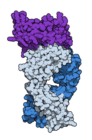 File:Sifalimumab 4YPG.png