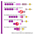 Thumbnail for version as of 22:27, 8 June 2026