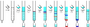Thumbnail for version as of 12:49, 29 May 2026