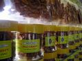 Pili Nut from Sipocot, Camarines Sur