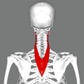 Thumbnail for version as of 22:27, 8 June 2026