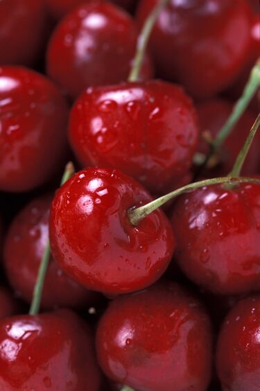 File:Bing Cherries (USDA ARS).jpg