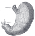 Thumbnail for version as of 17:28, 18 May 2026